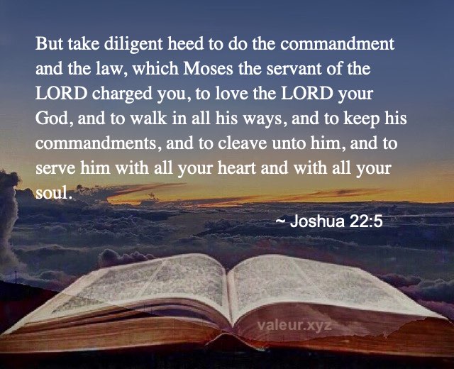 Joshua 22:5