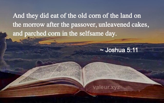 Joshua 5:11