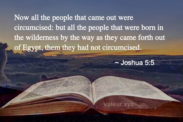 Joshua 5:5