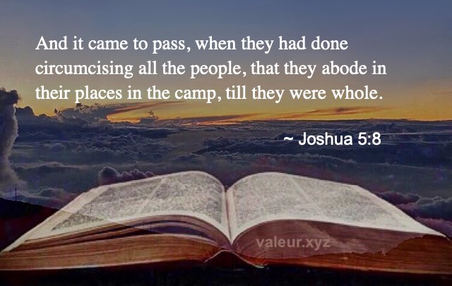 Joshua 5:8 Joshua 5:8