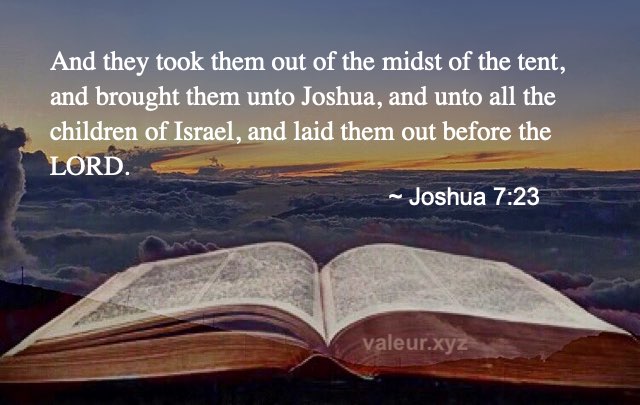 Joshua 7:23