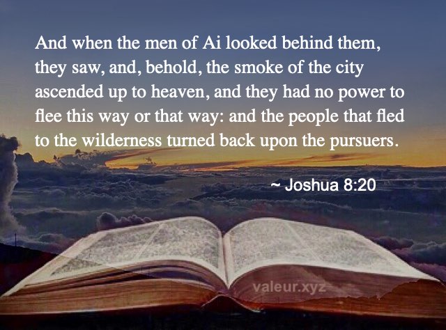 Joshua 8:20