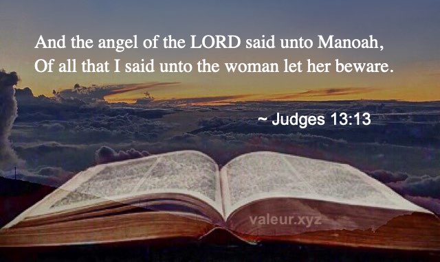 Judges 13:13