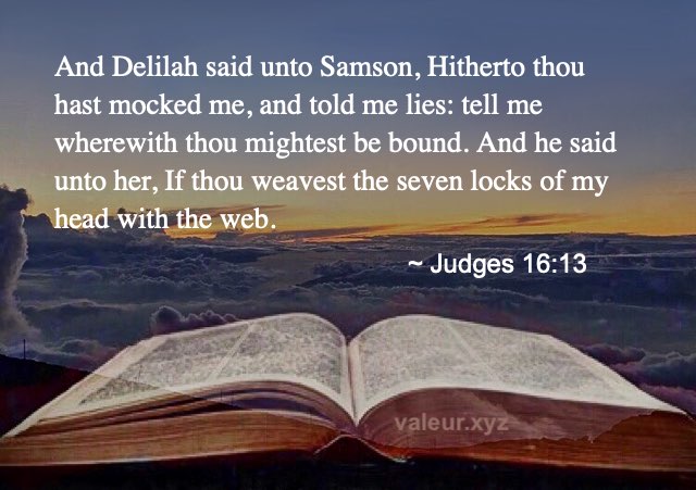 Judges 16:13