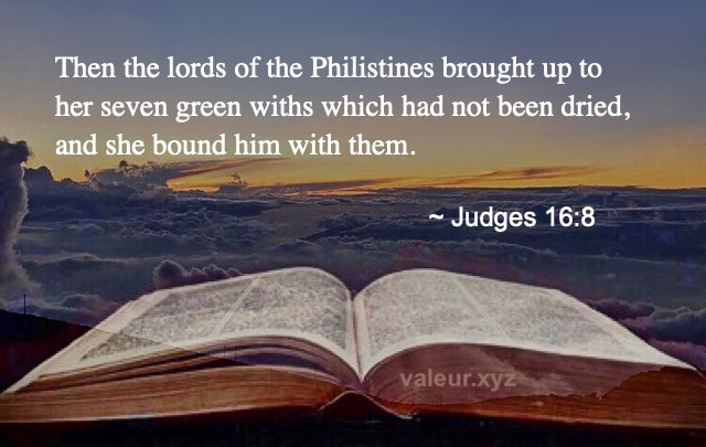 Judges 16:8