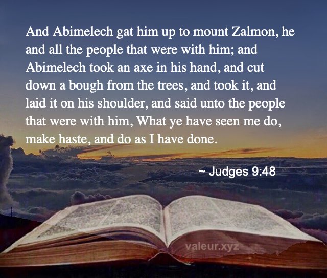 Judges 9:48