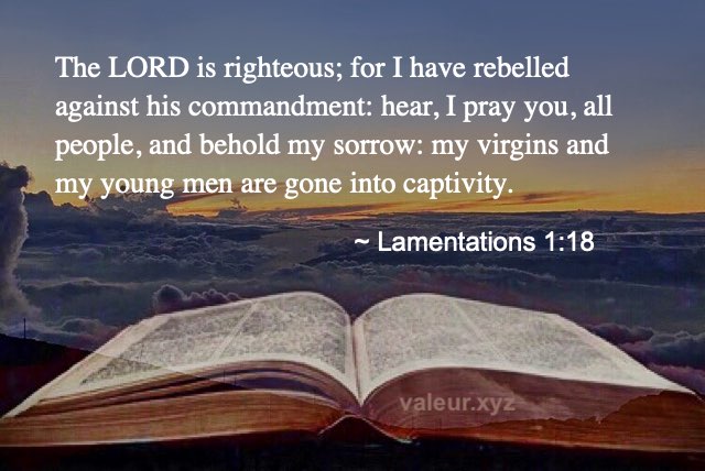 Lamentations 1:18