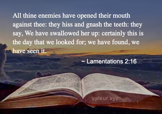 Lamentations 2:16