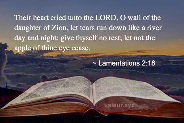Lamentations 2:18