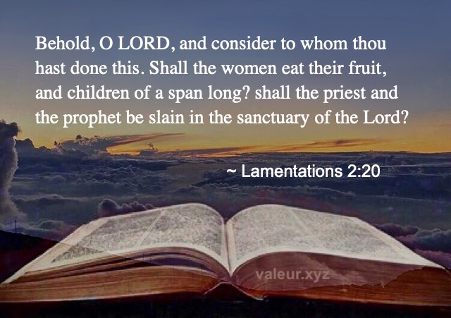 Lamentations 2:20