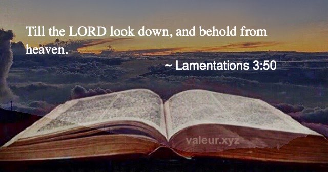 Lamentations 3:50