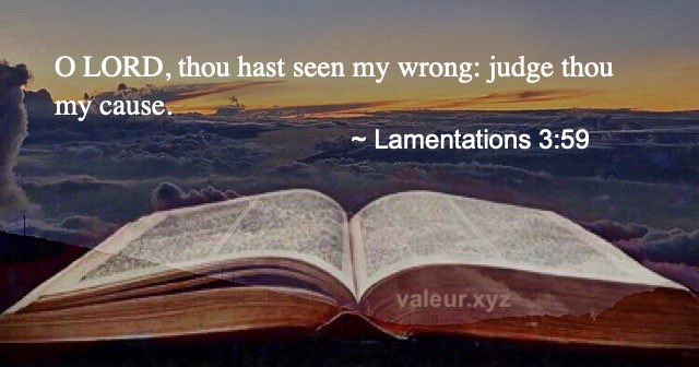 Lamentations 3:59
