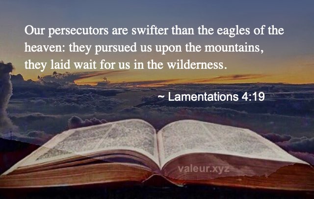 Lamentations 4:19