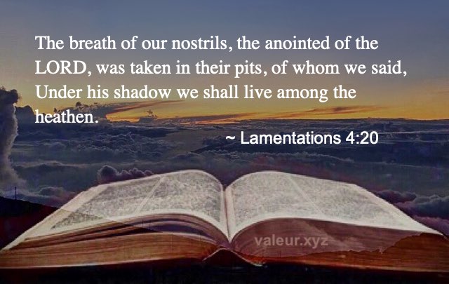 Lamentations 4:20
