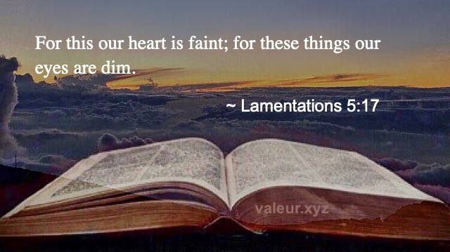 Lamentations 5:17