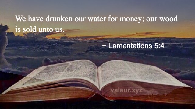 Lamentations 5:4