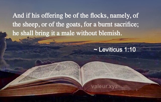 Leviticus 1:10