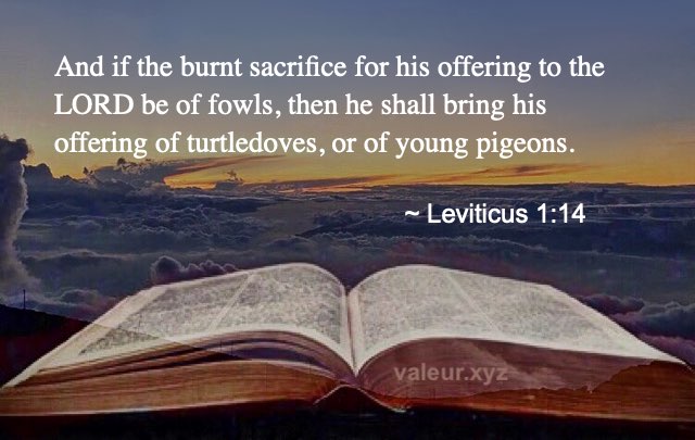 Leviticus 1:14