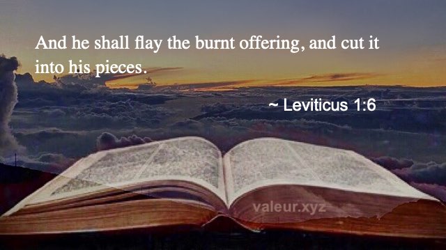 Leviticus 1:6