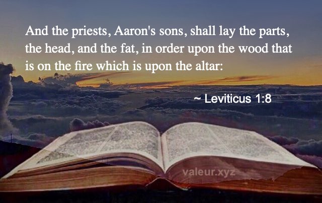 Leviticus 1:8