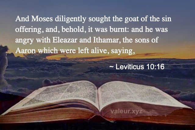 Leviticus 10:16