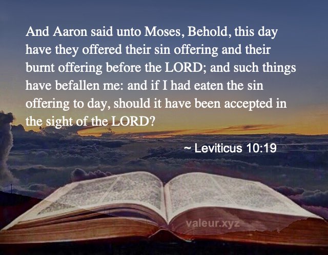 Leviticus 10:19