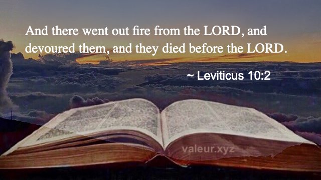 Leviticus 10:2