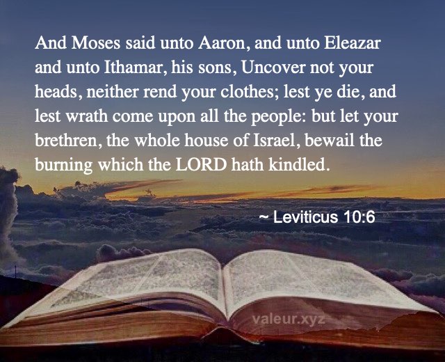 Leviticus 10:6