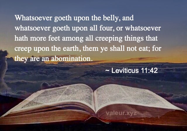 Leviticus 11:42