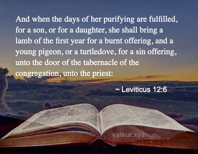 Leviticus 12:6