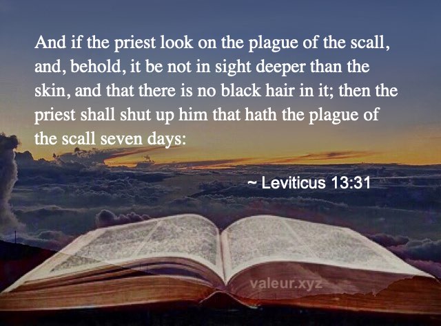 Leviticus 13:31