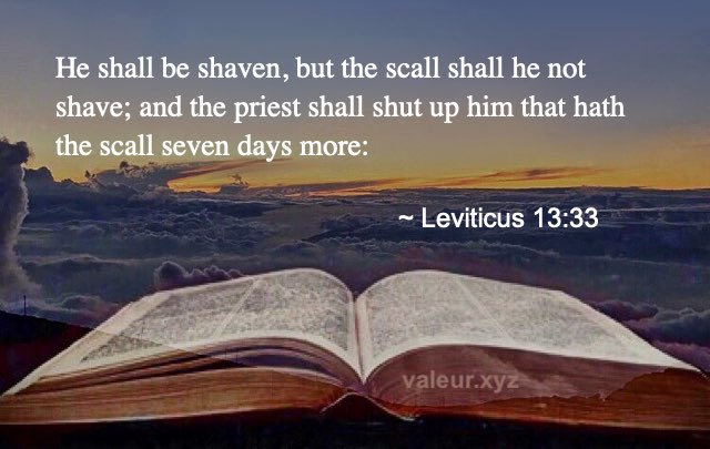 Leviticus 13:33