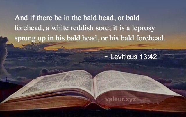 Leviticus 13:42