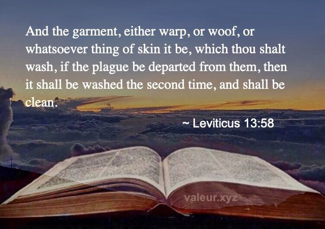 Leviticus 13:58
