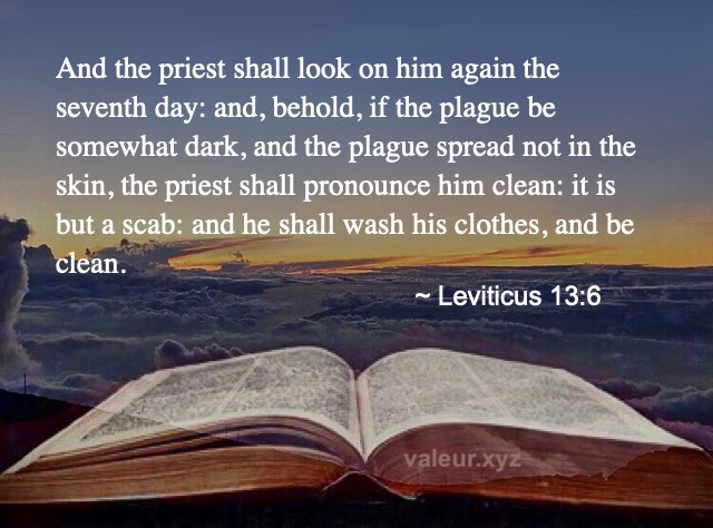 Leviticus 13:6