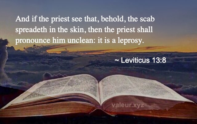 Leviticus 13:8