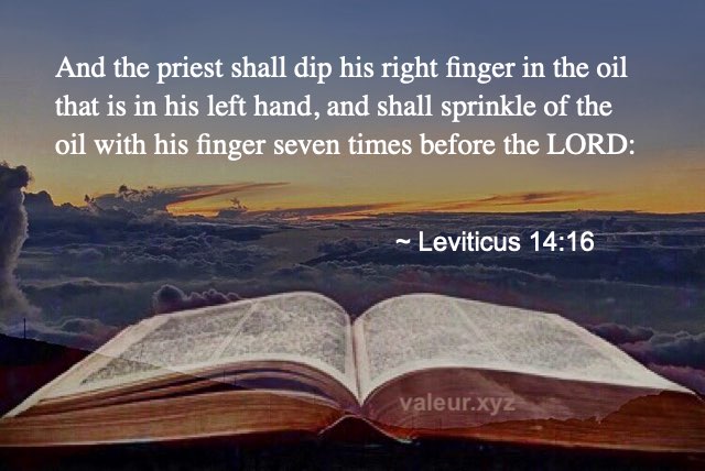 Leviticus 14:16