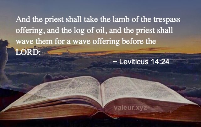 Leviticus 14:24