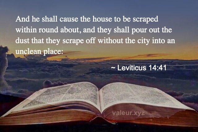 Leviticus 14:41
