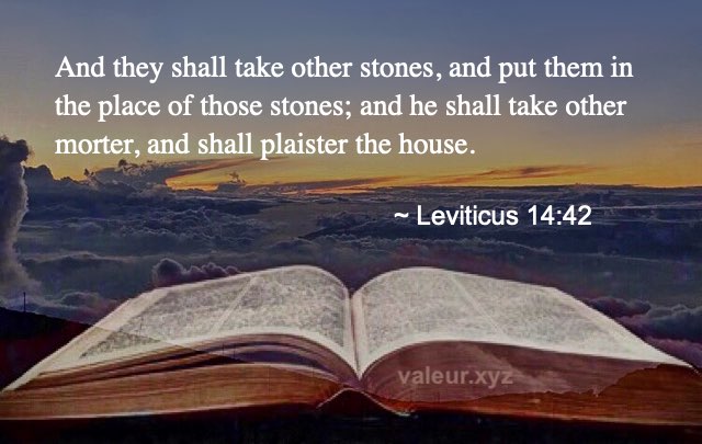 Leviticus 14:42