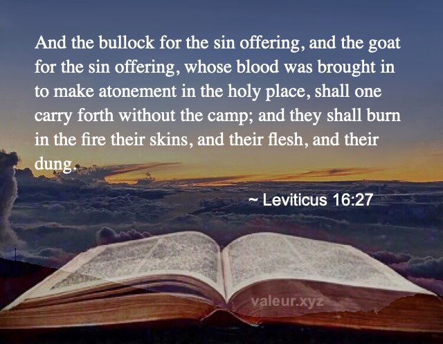 Leviticus 16:27