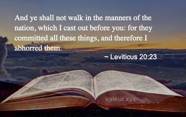 Leviticus 20:23