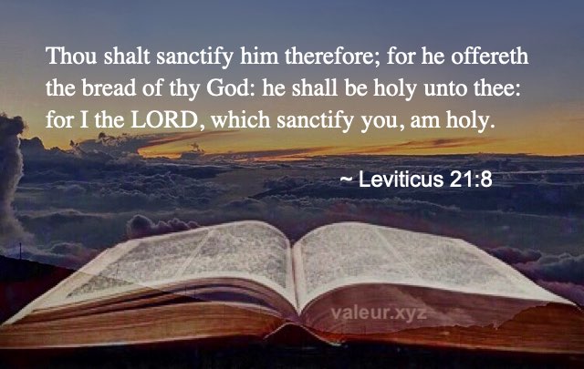 Leviticus 21:8