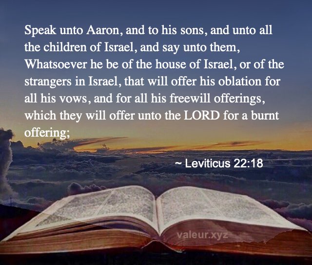 Leviticus 22:18