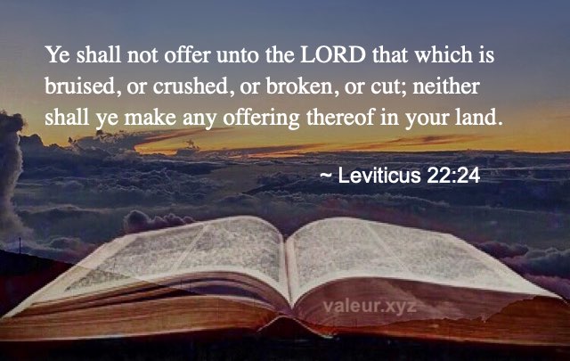 Leviticus 22:24