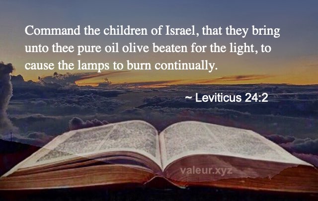 Leviticus 24:2