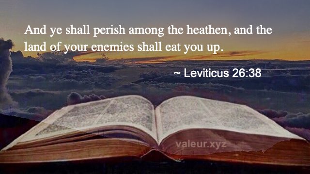 Leviticus 26:38
