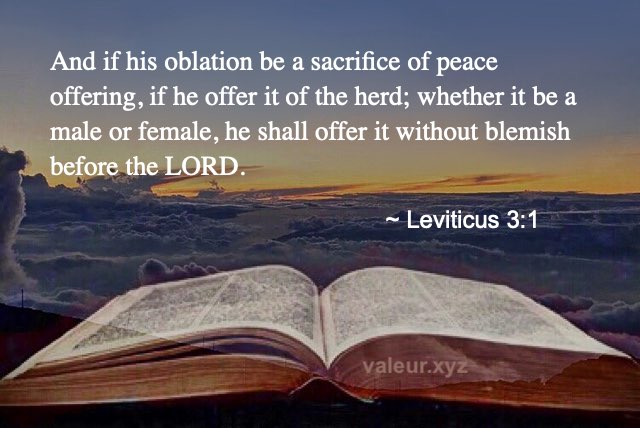 Leviticus 3:1