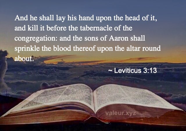 Leviticus 3:13