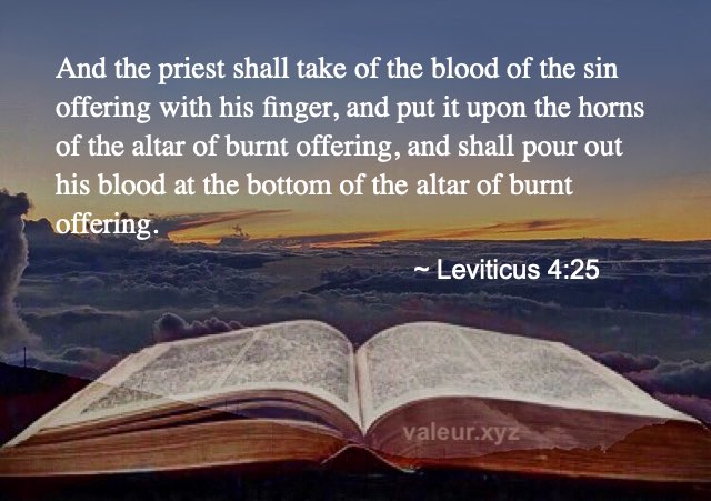 Leviticus 4:25